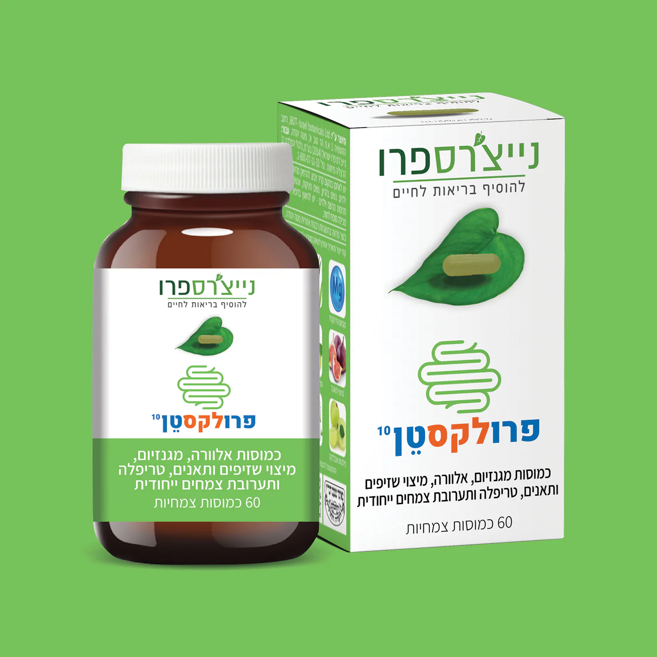 תמונת מוצר 3