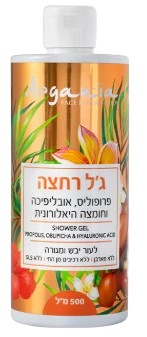 תמונה ממוזערת 1