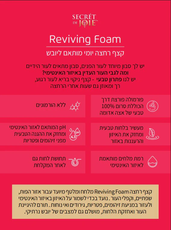 תמונת מוצר 4