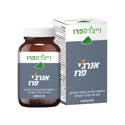 תמונת מוצר 1