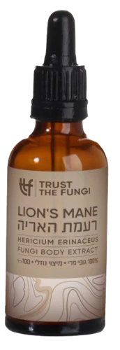 תמונת מוצר 1