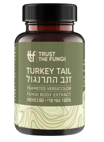 תמונת מוצר 1