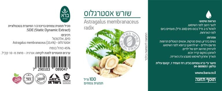 תמונת מוצר 2