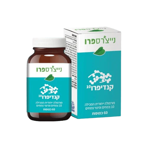 תמונת מוצר 1