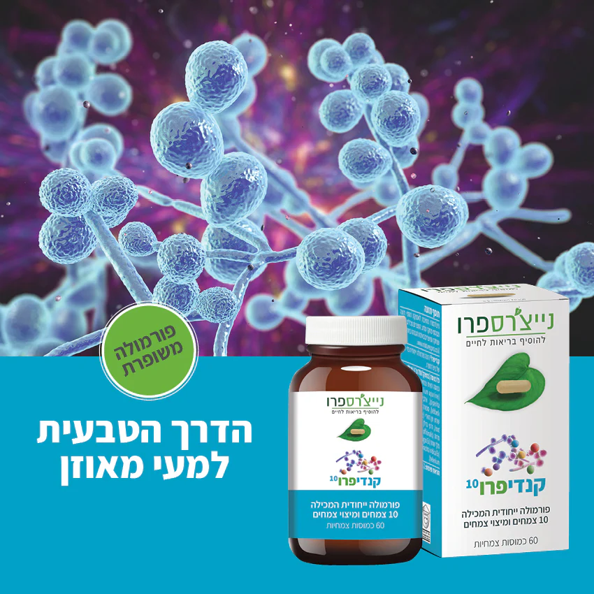 תמונת מוצר 5