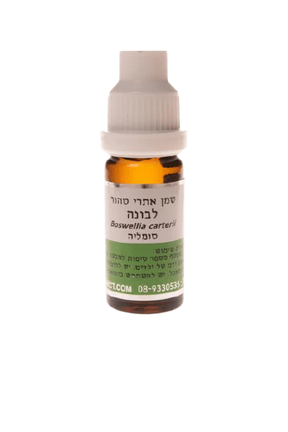 תמונת מוצר 1