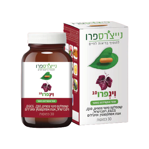 תמונת מוצר 2