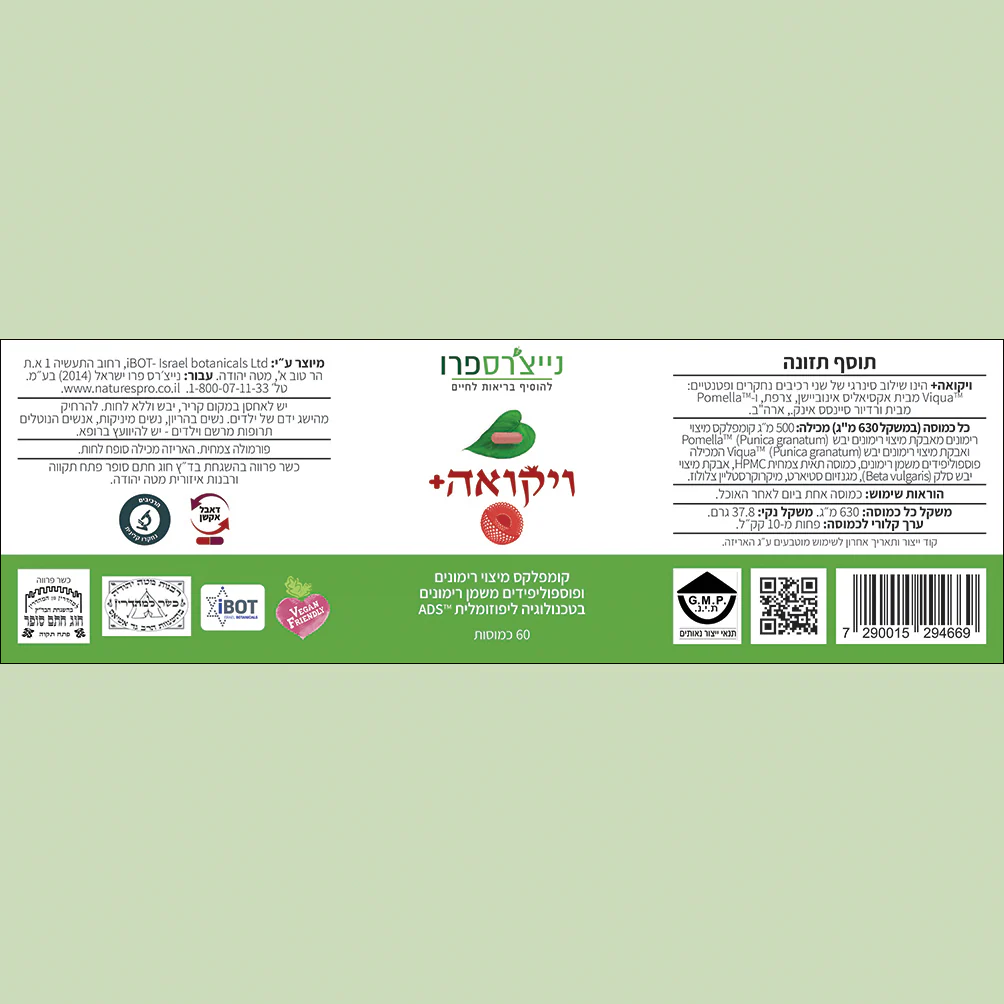 תמונת מוצר 2