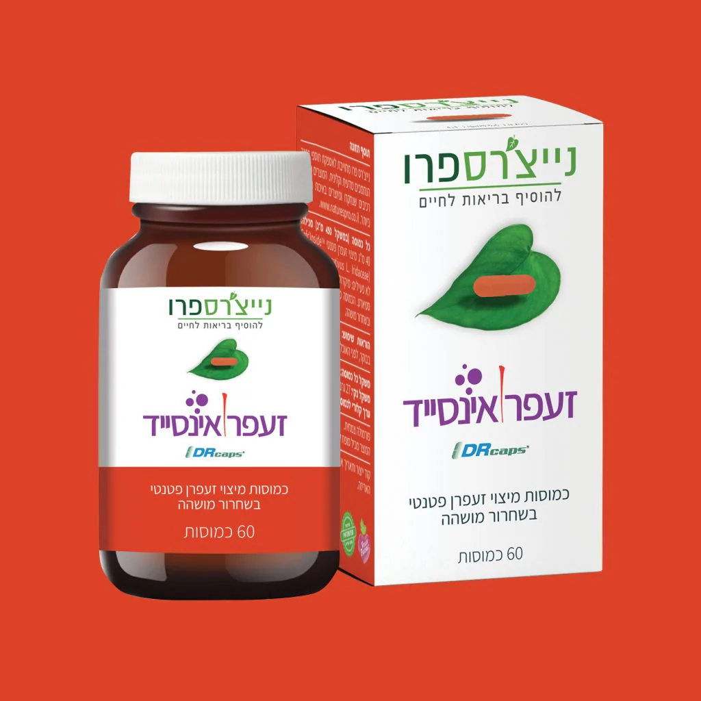 תמונת מוצר 3