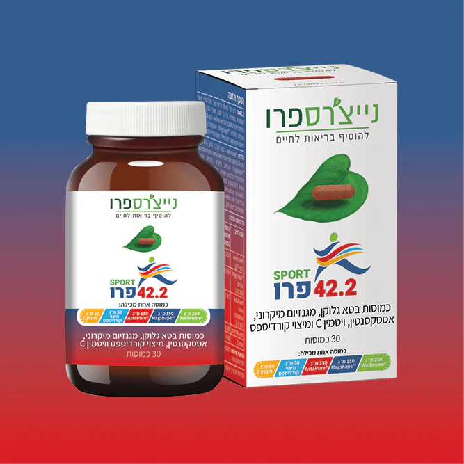 תמונת מוצר 3