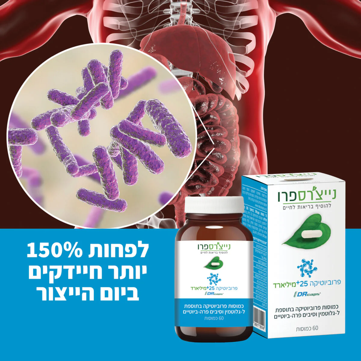 תמונת מוצר 3
